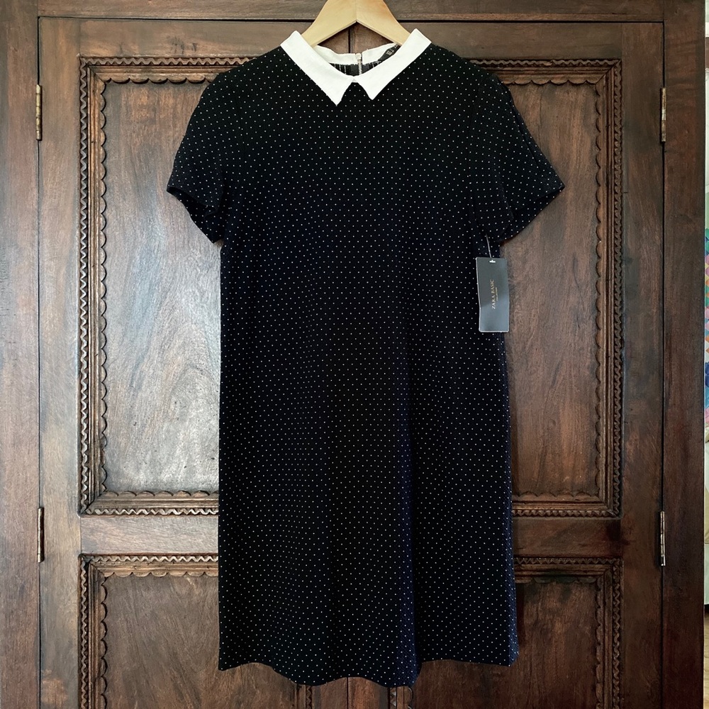 Zara Black Mini Polka Dot White Collar Dress S